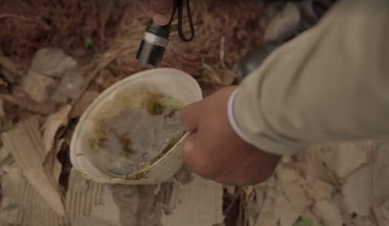 Há quase duas décadas sem registros, Campo Grande confirma primeiro caso de dengue tipo 3