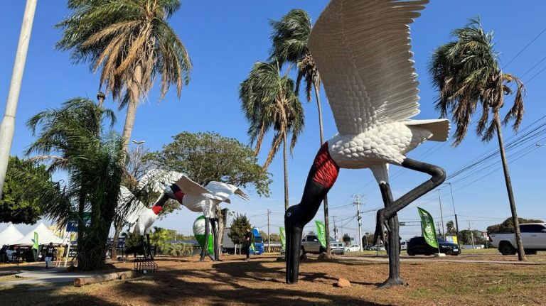 Tuiuiús do Aeroporto de Campo Grande  são reinaugurados após trabalho de revitalização
