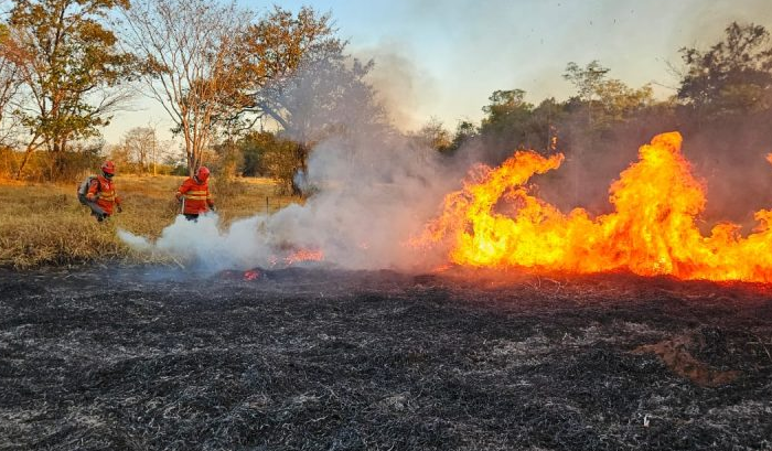Governo federal decreta emergência em 11 cidades de MS devido aos incêndios florestais