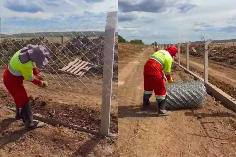 Rodovia recebe cerca condutora para reduzir atropelamentos de animais silvestres em MS